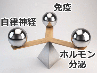 自律神経、免疫系統、ホルモン系統の三角関係