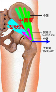 股関節の痛み