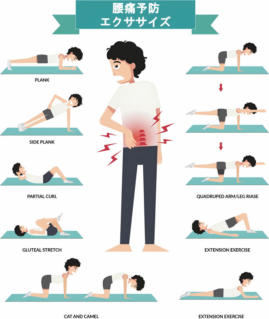 ぎっくり腰予防エクササイズ