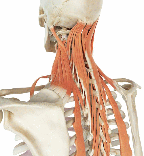 よくある質問２