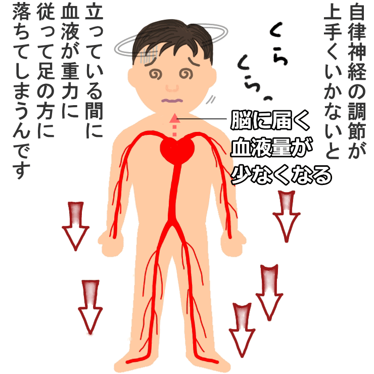 起立性調節障害の場合、脳に届く血液量が少なくなる