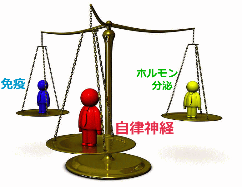 自律神経、免疫系統、ホルモン系統の三角関係