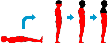 起立性調節障害による血圧低下の図