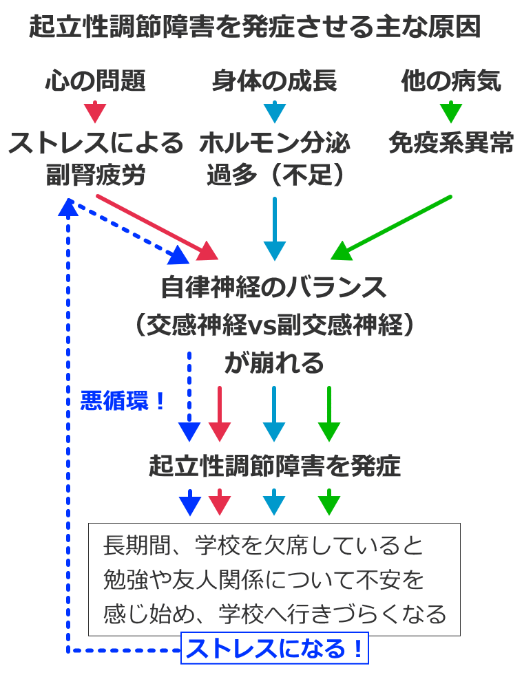起立性調節障害の主な原因