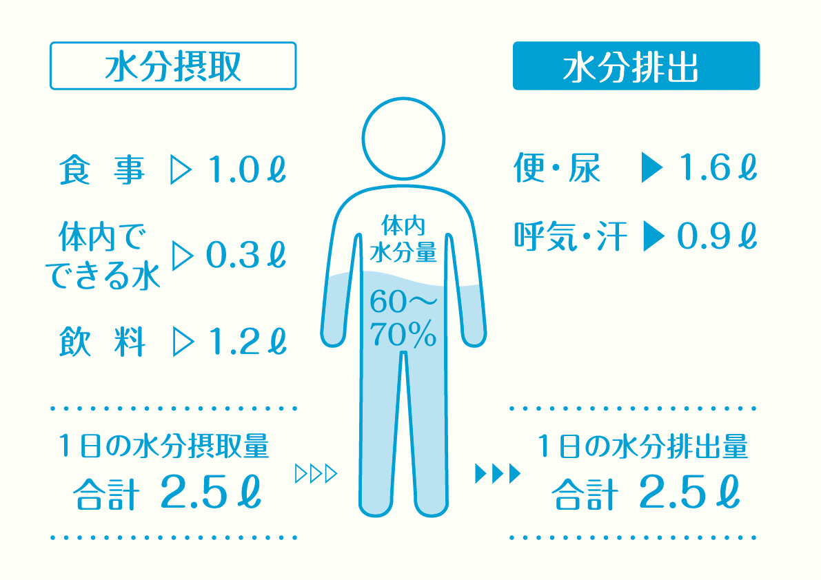 起立性調節障害の改善に必要な水分量