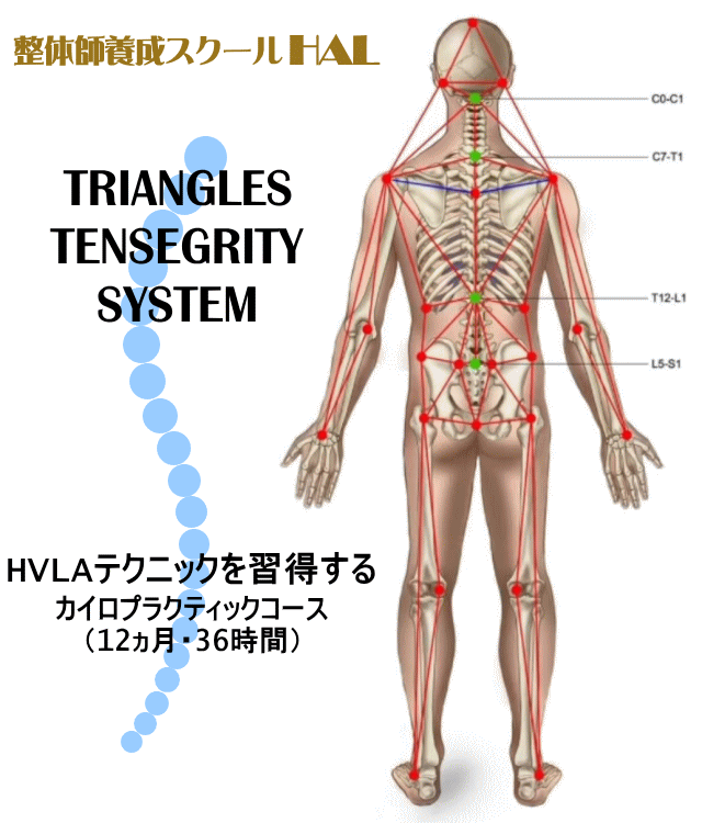 トライアングルテンセグリティシステム