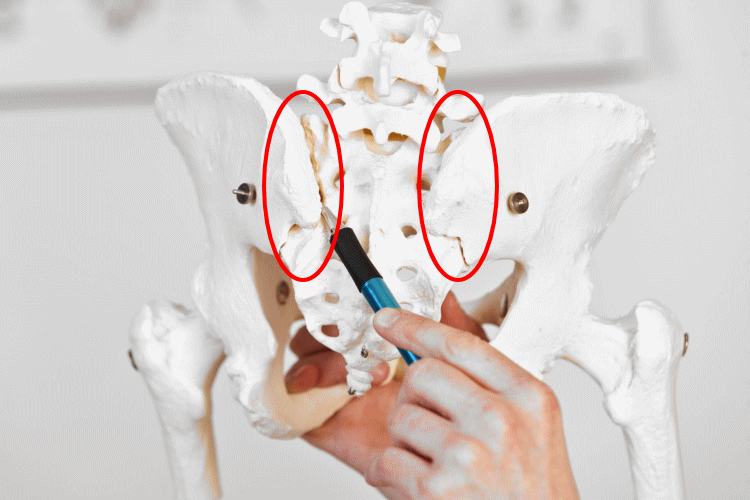 仙腸関節障害の発生個所