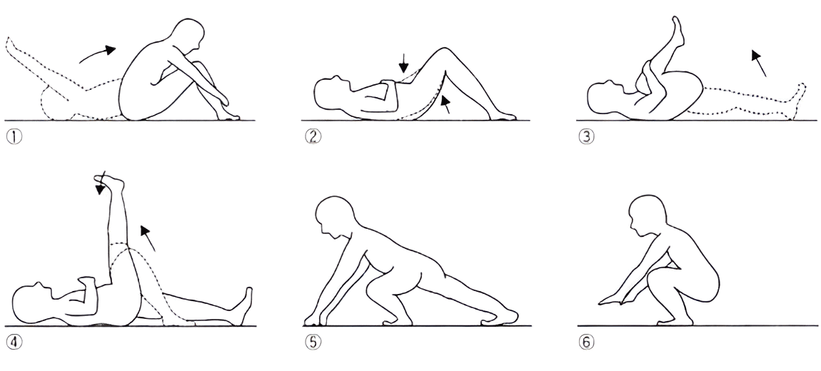 ウイリアムス体操